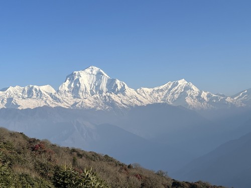 Poon Hill: A Popular Short Trekking Destination in the Annapurna